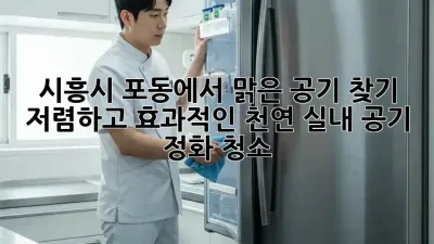 시흥시 포동에서 맑은 공기 찾기: 저렴하고 효과적인 천연 실내 공기 정화 청소