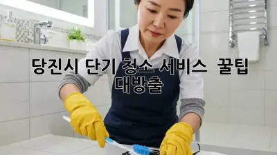 ✨ 당진시 단기 청소 서비스 ✨ 꿀팁 대방출! 🏡✨